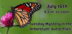Mystery in the Arboretum: Butterflies