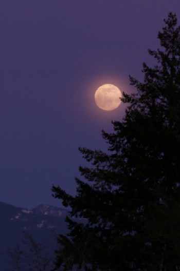 Winter Moon Delight Taken On Feb 23 At 5 39 P M This Photo Was Taken From First Avenue Facing East In Downtown Sandpoint Aric Spence Says He Has To Enjoy Views Like This While He Can As A New Lakefront Condominium Development May Obscure It In The