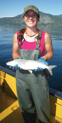 Netting Whitefish 